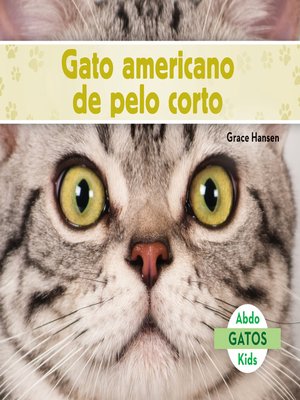 cover image of Gato americano de pelo corto (American Shorthair Cats)